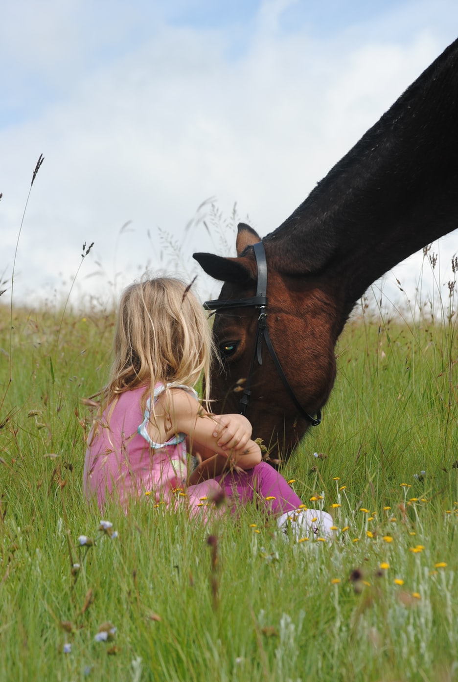 person in wheel chair with horse