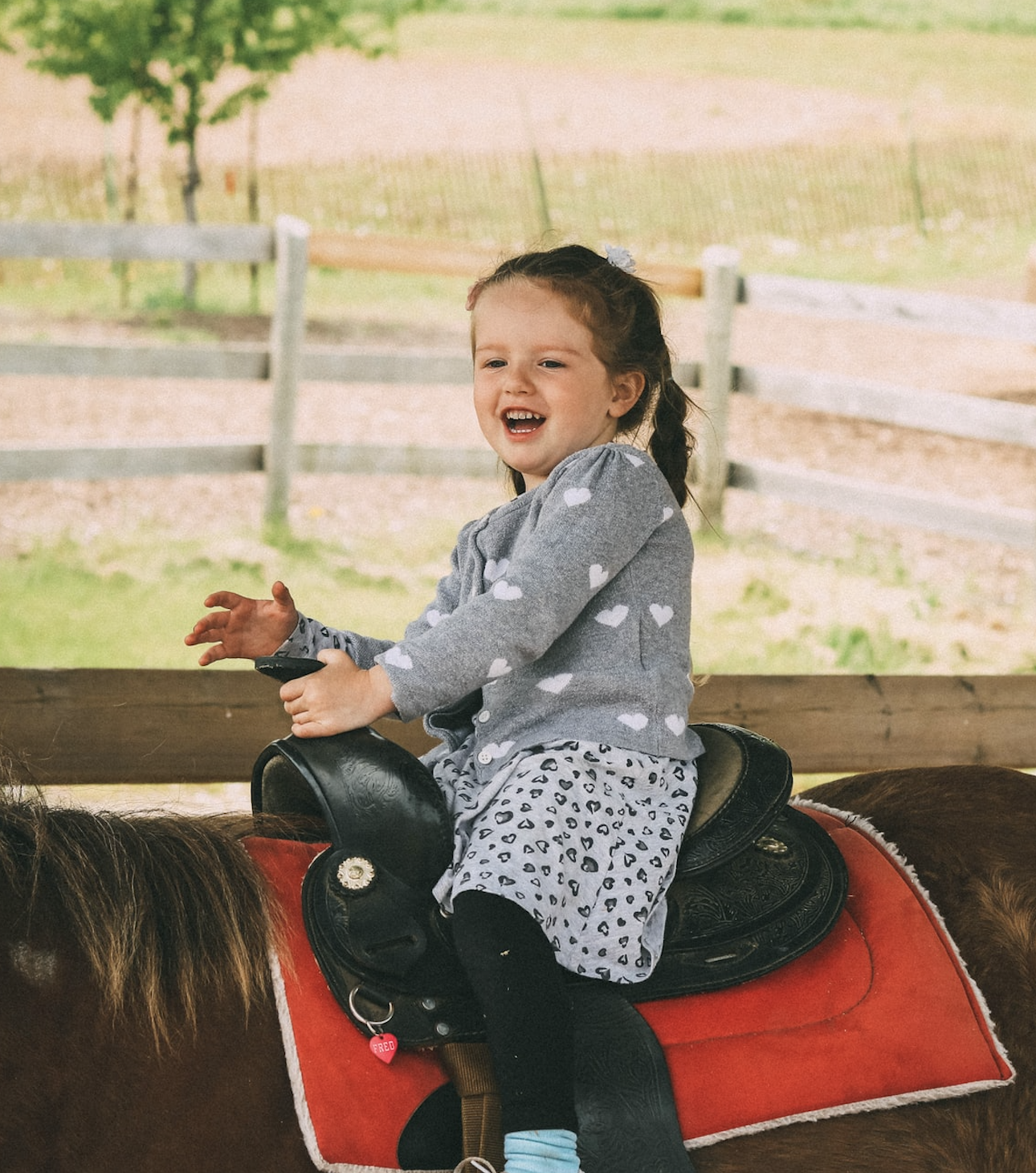 volunteer, horse and kid