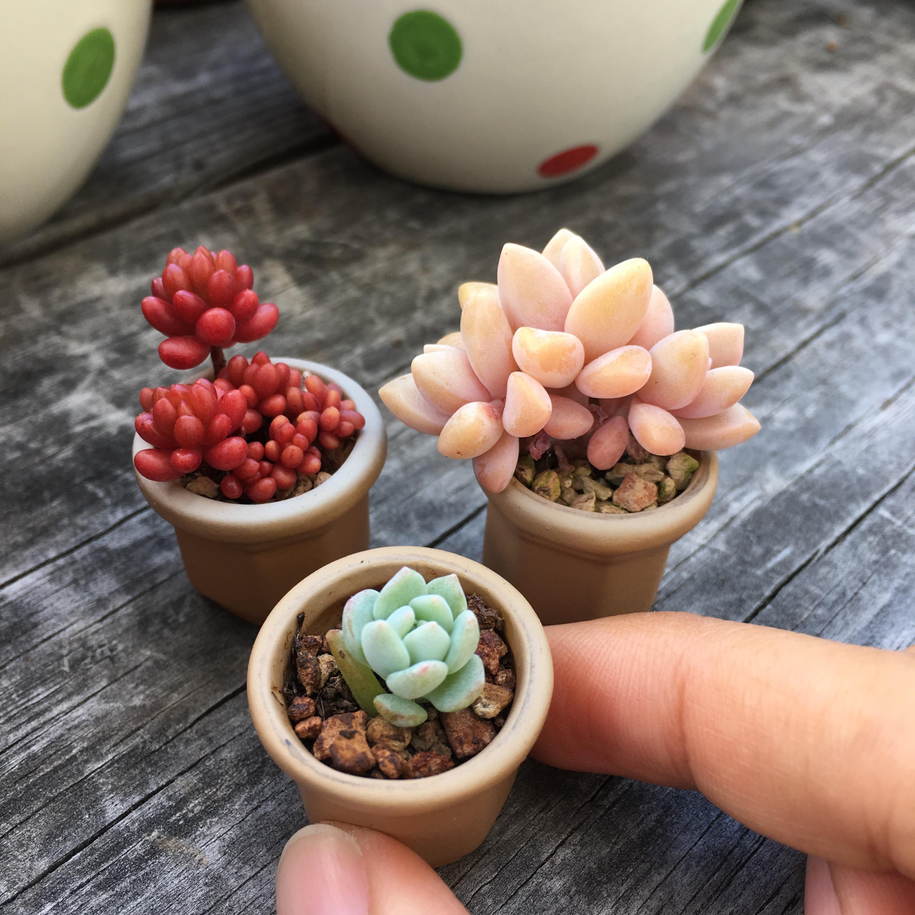 tiny pot